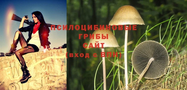 прущие крисы Киреевск